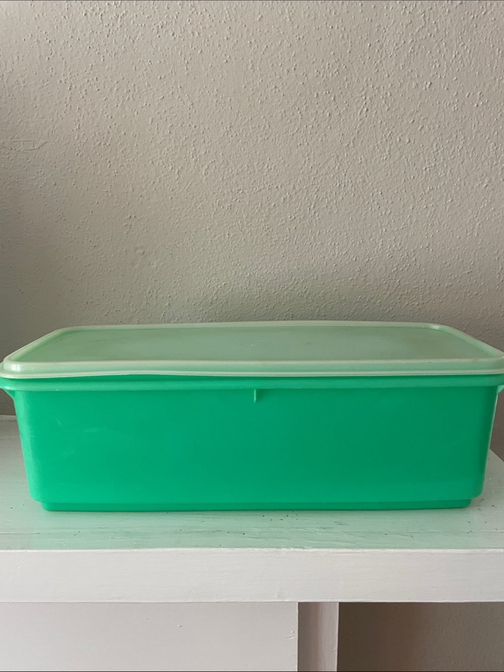 Vintage! Tupperware Celery Keeper. #782. 3 pieces. 15x6x5